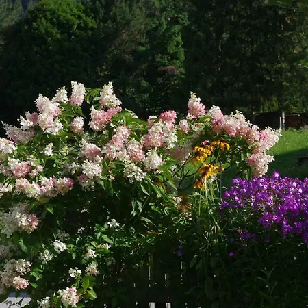 Haus Vallaster * Sankt Gallenkirch