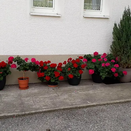 Haus Vallaster Apartamento *