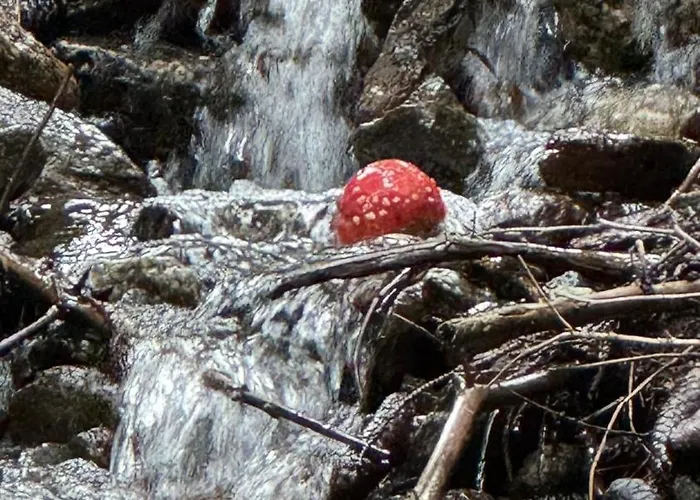 Apartman Haus Vallaster *