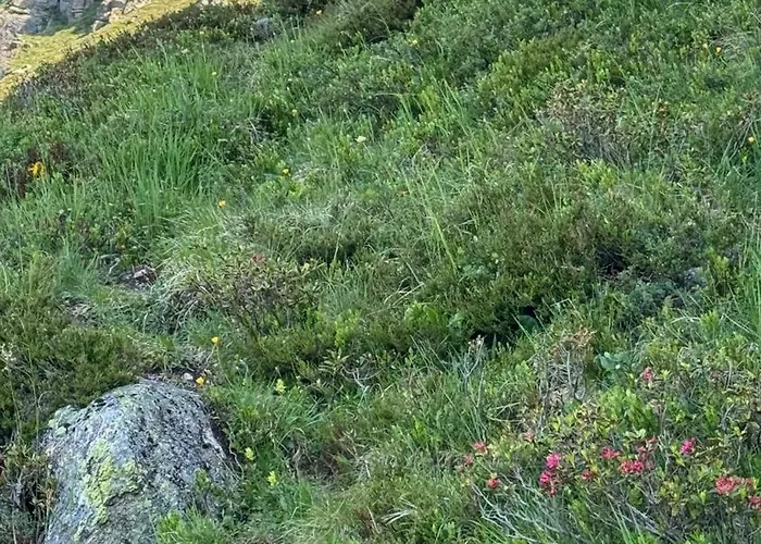 Apartman Haus Vallaster *